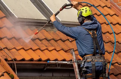 Démoussage et hydrofuge de toiture à Fleys